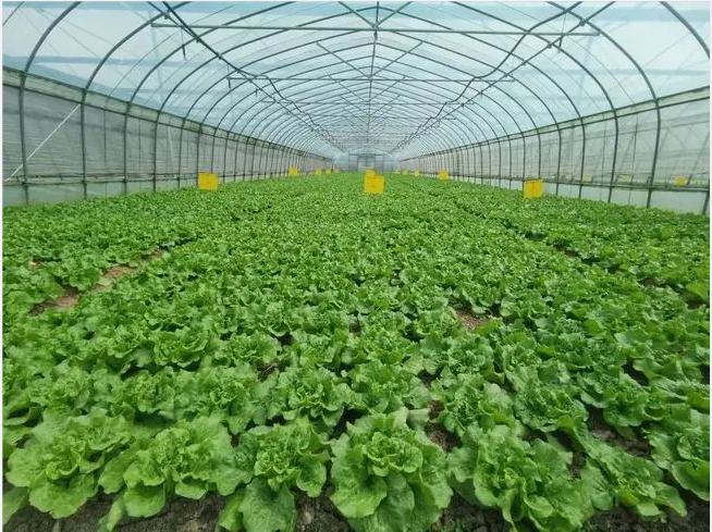 ɳʳóаvʳóаr(sh)ķ(w)lע